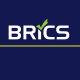 Brics Ventures Shop