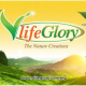 VlifeGlory