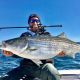 GLOWSY