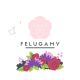 Felugamy Store