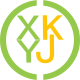 XYKJ Motors