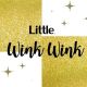 Little  Winkwink