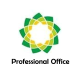 Professional Office