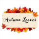 Autumn Leaves