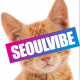 SeoulVibe