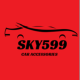 Sky599 Car Auto Accessories