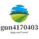 gun4170403