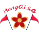 HongQi.SG
