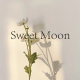 SweetMoon