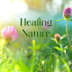 HEALING NATURE 1729085619