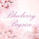 Blueberrybigsize
