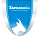 Etawanesia ID