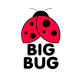 BIGBUG