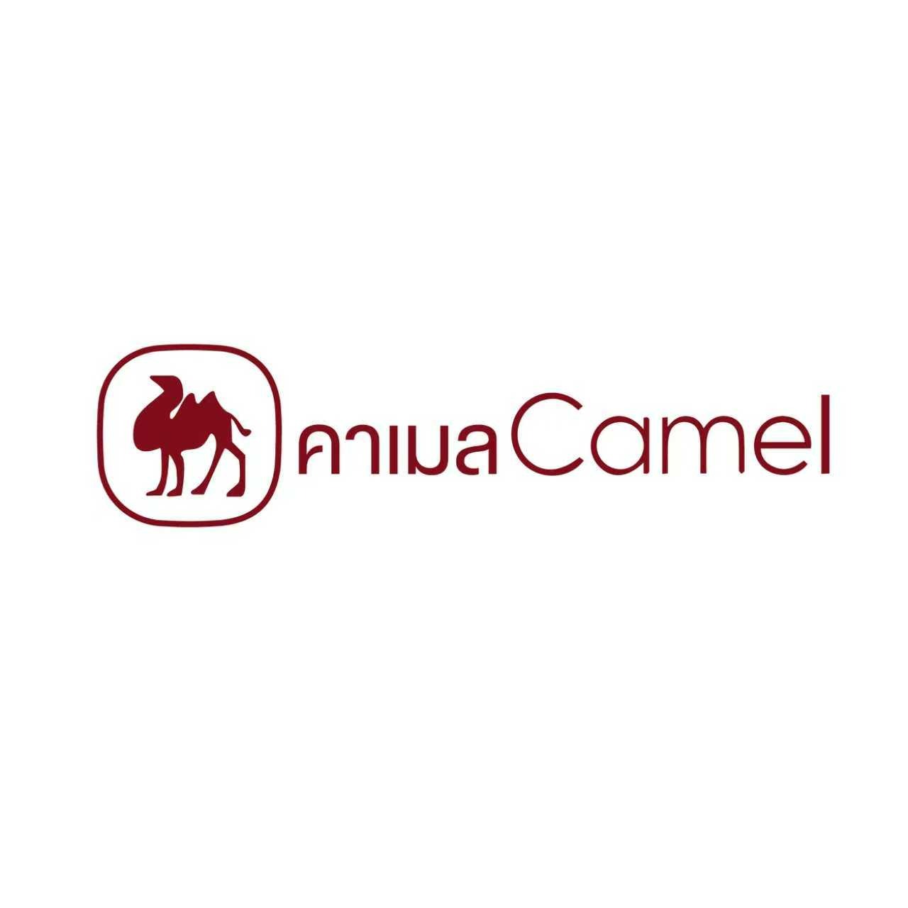 โลโก้ร้าน CAMEL ELECTRONIC