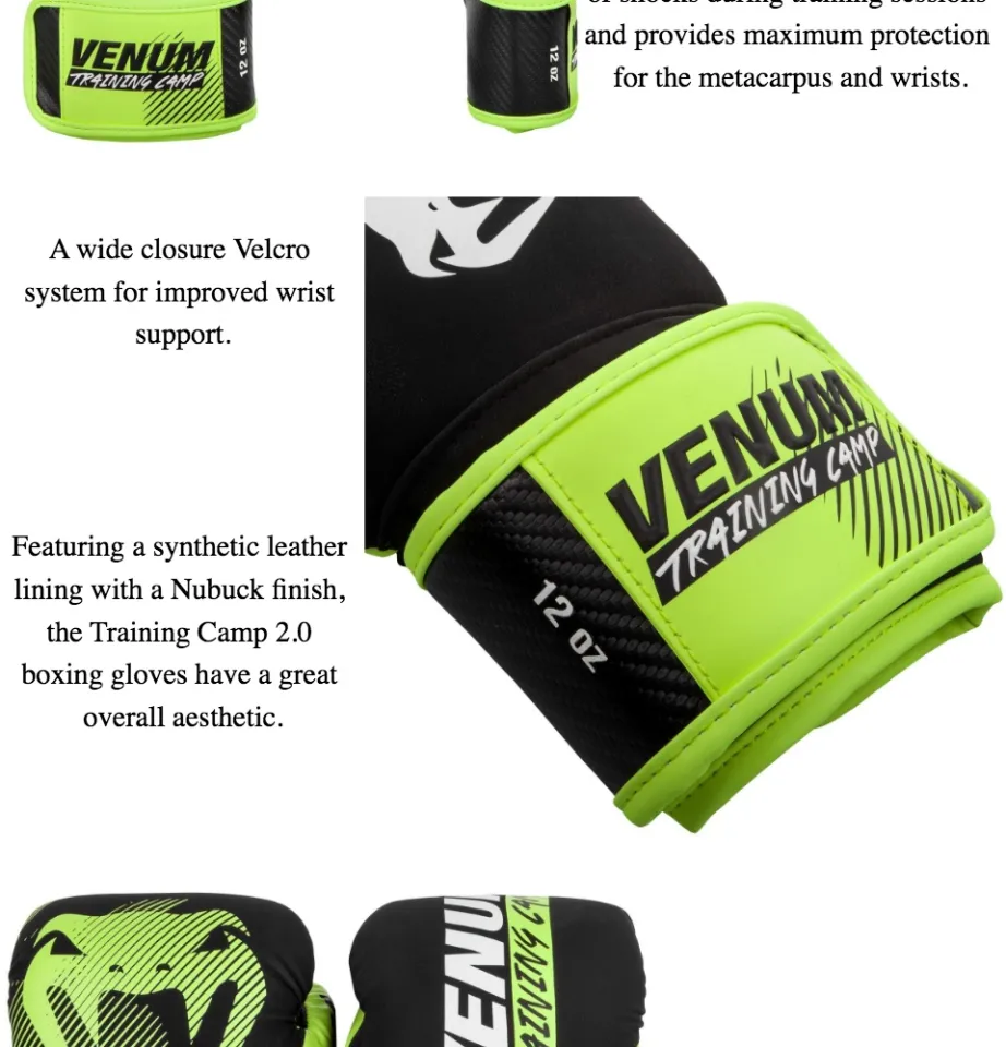 Venum training camp hot sale 2.0 boxing gloves