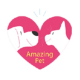 Amazing pet