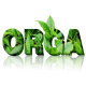 Organin