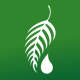Melaleuca SG