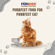 FURRIES PREMIUM CAT FOOD