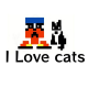 ฉันรักแมว