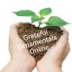 Grateful Online  Store