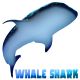Whale shark PH