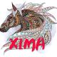 XIMA
