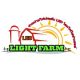 LED Light Farm