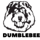 Dumblebee's Anything Store