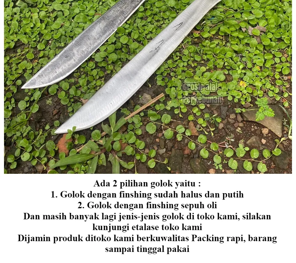 Mikro bikinidagi katta olchamli ayollarning fotosuratlari