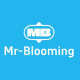 Mr-Blooming