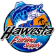 Hawesta Fishing Supply