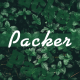 Packer