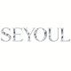 SEYOUL Beauty Specialty Store