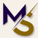 MSventure