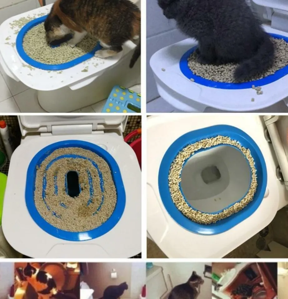 CATNIP INCLUDED WJS CitiKitty Cat Toilet Training Kit Citi Kitty Training System For Potty Pet Potty