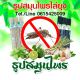 ธูปสมุนไพรไล่ยุง@สำรี