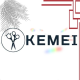 KEMEI*QJD