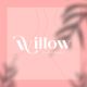 Willow Fashion Store
