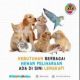 PETSHOP DIAS