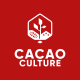 Cacao Culture