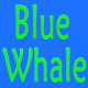 Blue Whale Store