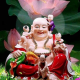 ShopThai141