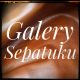 Galery Sepatuku