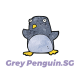 Grey Penguin.SG