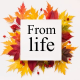 From life