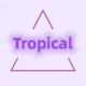 Tropical Fashion Home