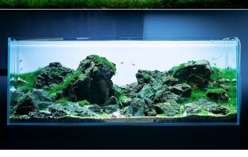 Aquascape JAPAN Hakkai Stone Amano stone(水草造景八海石） - Lazada