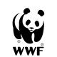 Panda Mobile Accessories