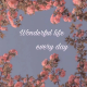 Wonderful life every day